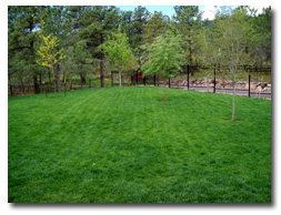 Colorado Springs landscaping
