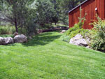 landscape renovation - colorado springs landscaping