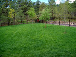 Colorado Springs landscaping