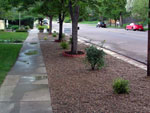 Colorado Springs xeriscape