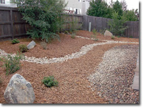 colorado springs xeriscape