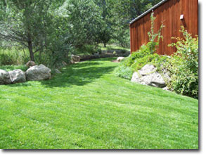 colorado springs landscaping